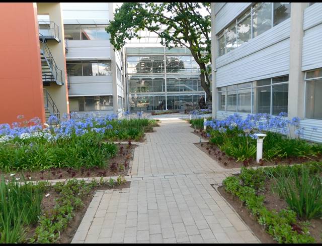 314M² OFFICE TO LET IN ILLOVO